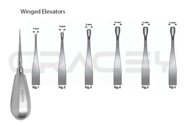 Winged Elevators Stubby 