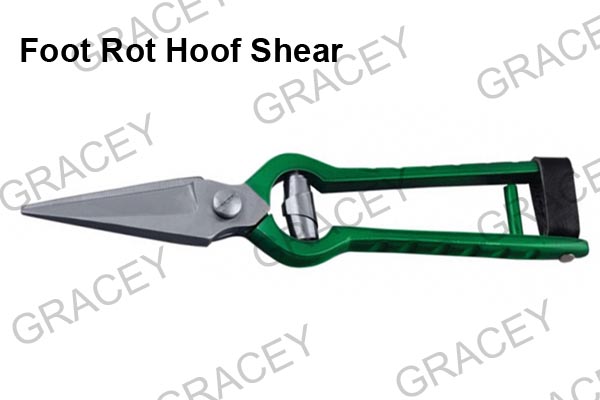 Foot Rot  Hoof Shear 