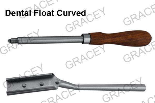 Vet Dental Float Curved 