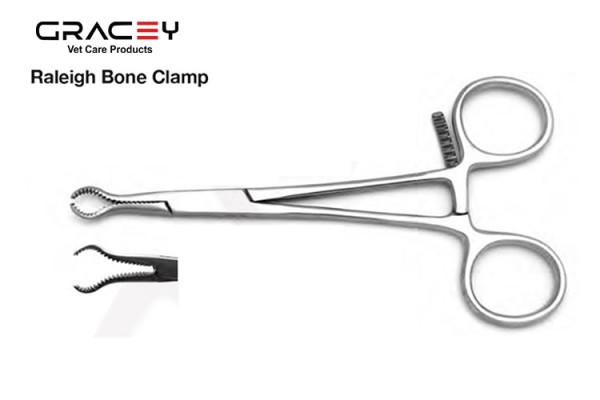 Vet Raleigh Bone Clamps 