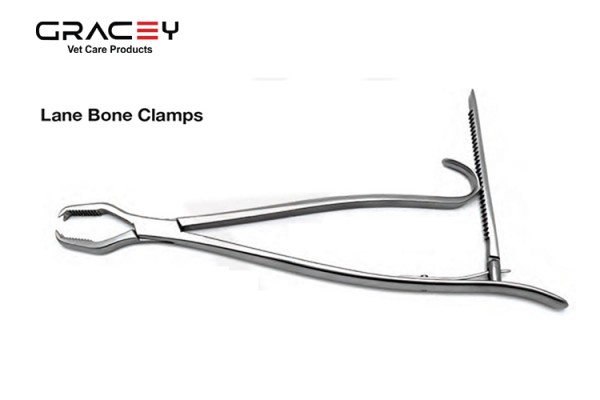 Vet Lane Bone Clamps 