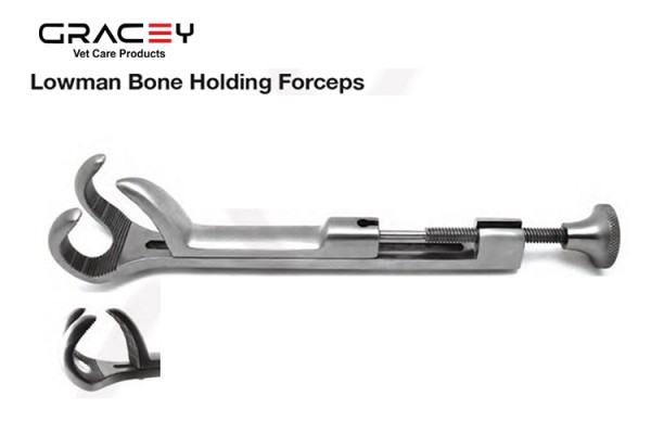 Vet Lowman Bone Holding 