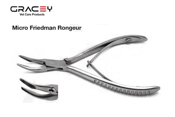 Micro Friedman Ronguer