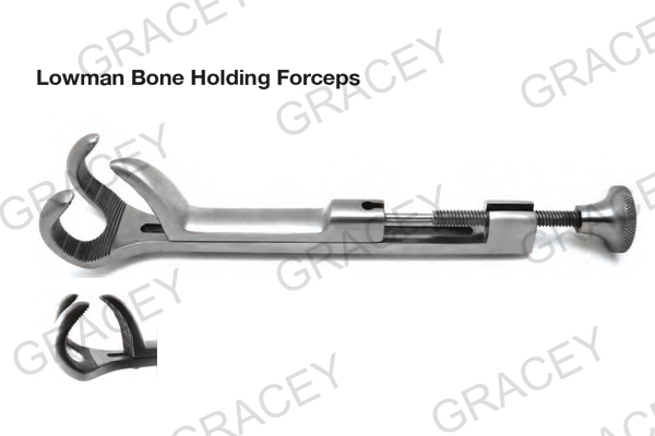 Vet Lowman Bone Holding 