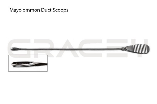 Mayo Common Duct Scoop