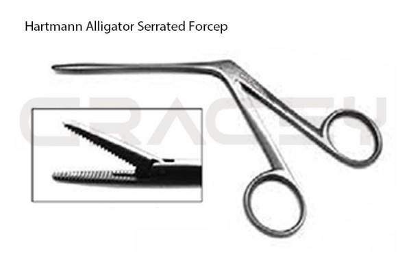 Hartmann Forceps Serrated