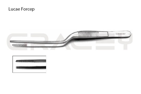 Lucae Ear Forceps